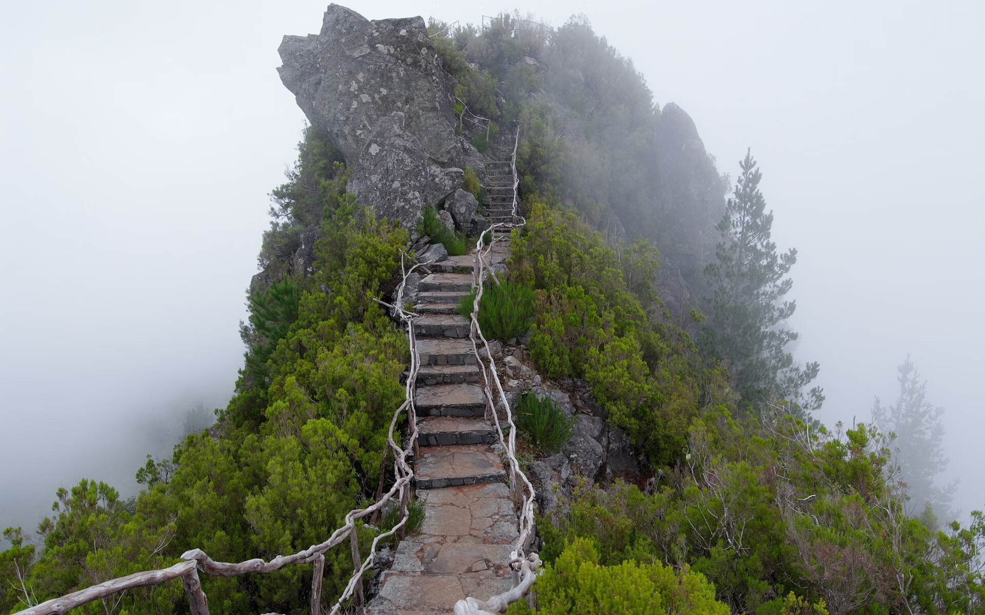 世界登山青年后备名单更新发布:更多营员入列观察库,世界知名登山名人
